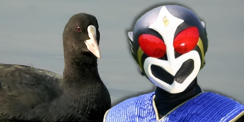 テガヌマンクート