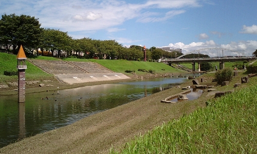 利根運河の水位(増水時)