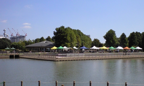 柏の葉公園BBQ