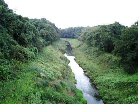 東仁連川