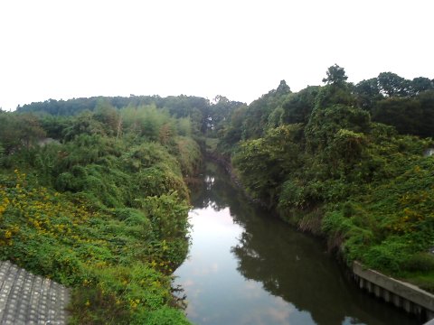 飯沼川