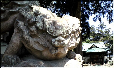 野田ポタ