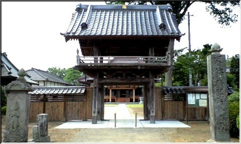 野田ポタ