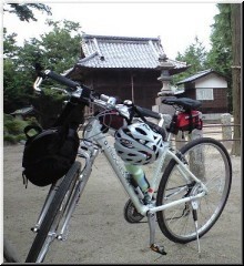 野田ポタ