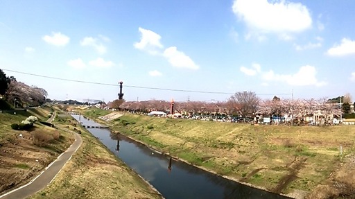 02うんがいい朝市.jpg