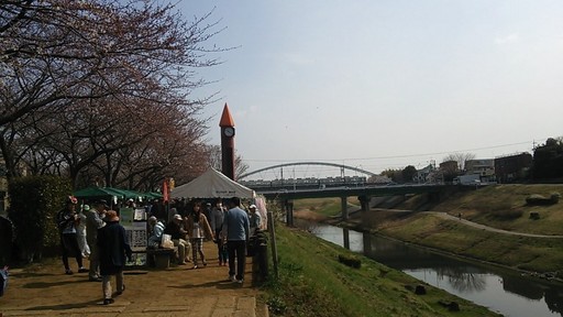 02利根運河の朝市会場.jpg