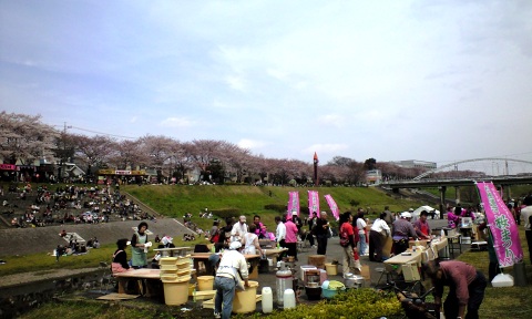 利根運河の桜まつり2009