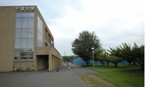 千葉大学園芸学部柏農場