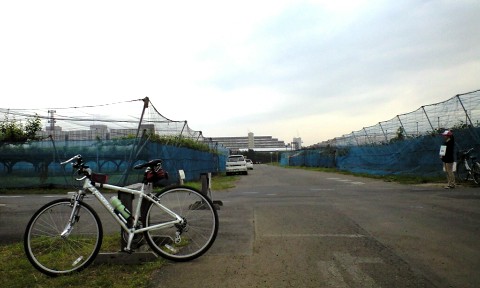 千葉大学園芸学部柏農場