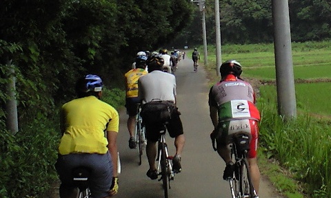 0906_potte_006.jpg