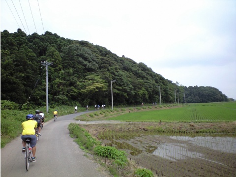 0906_potte_008.jpg