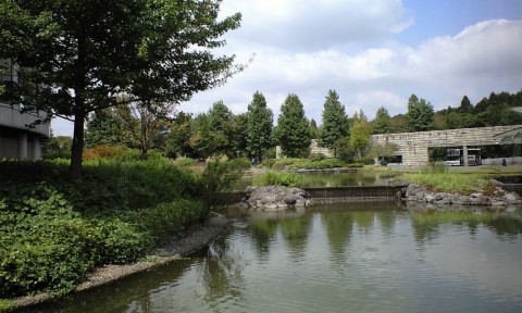 090905_04.jpg