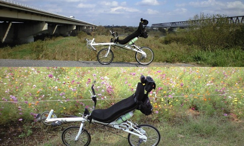 常磐自動車道・つくばエイクスプレスとあけぼの山のコスモス