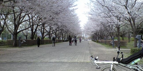 10.04.08_01.jpg