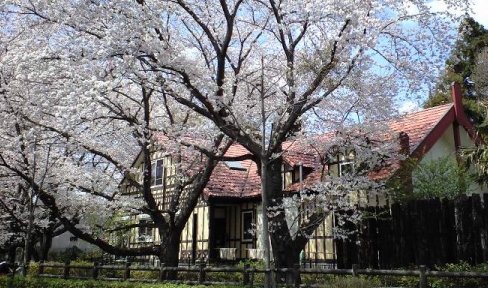 10.04.11_006.jpg
