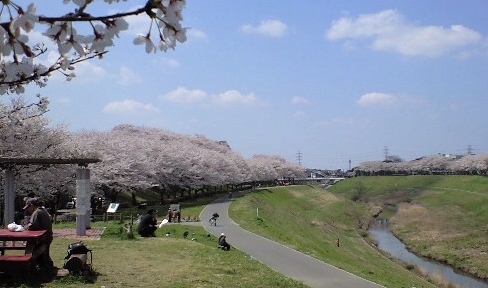 10.04.11_007.jpg