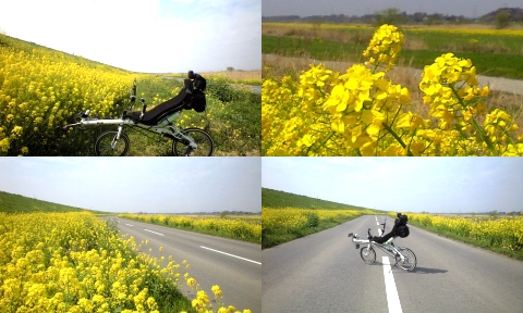 10.04.11_009.jpg