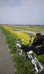 10.04.11_010.jpg