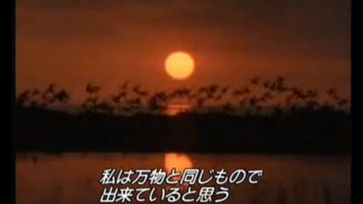 10.人間は万物と同じもので出来ている.jpg