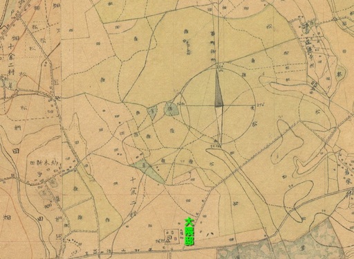 1880~86(明13~19)年柏の葉.jpg