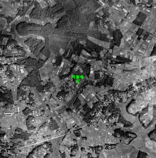 1955_昭和30年流山市野谷の森.jpg