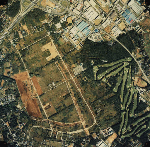 1984(昭59)年柏の葉.jpg