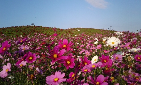 2007.1103_02.jpg