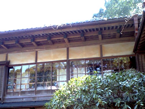 2008.030905.jpg