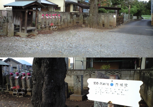 流山市真城院