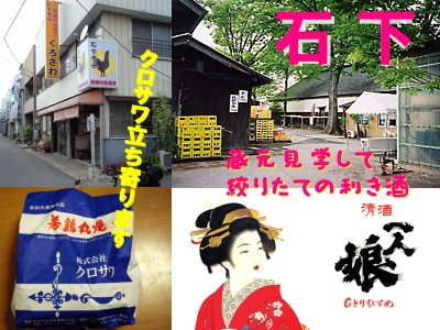一人娘蔵元見学&利き酒(石下・山中酒造)