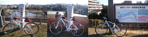 江戸サイ川の一里塚
