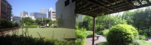 桜川公園屋上部