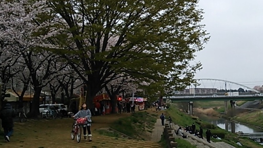 うんがいい!花見2013_04.jpg
