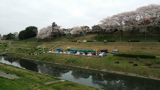 うんがいい!花見2013_05.jpg