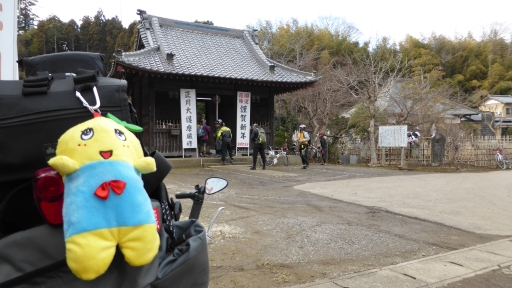 おっぱい寺「観音寺」印西市.jpg