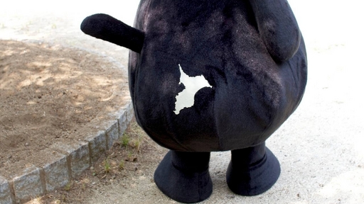 ウラケン01.jpg