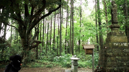 ウラケン06.jpg