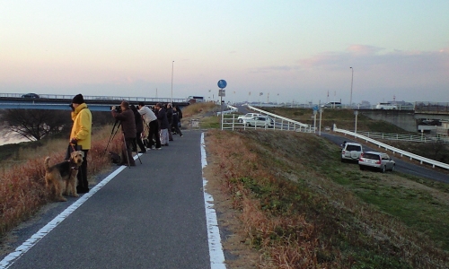 ダイヤモンド富士撮影ポイント,玉葉橋