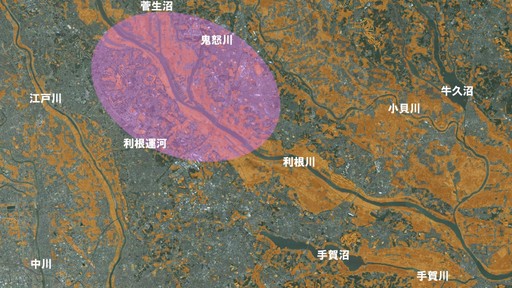 チュウヒを探して菅生沼拠点地区