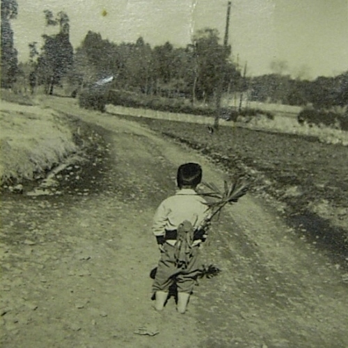 ボクはいつか武士になる!1962年(昭和37年)