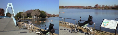 リカンベント試乗会,水元公園