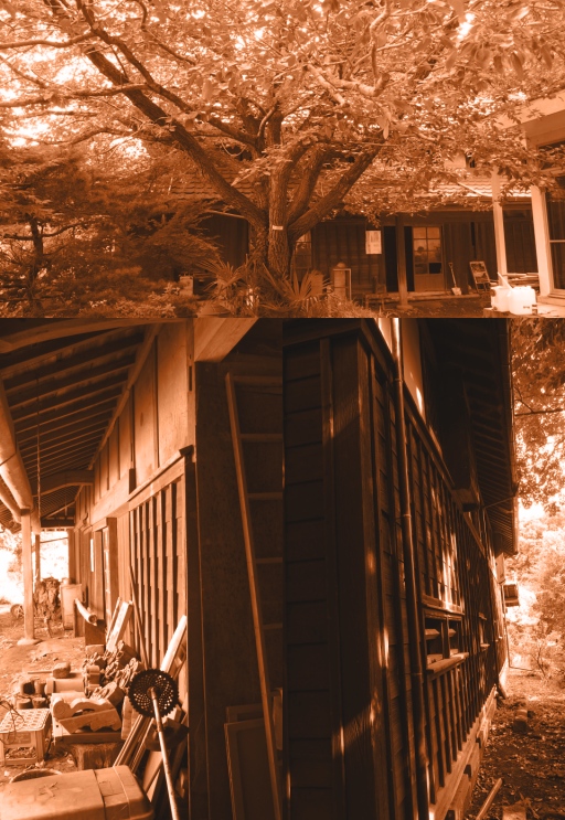 下田の杜04.jpg