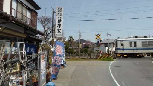 伊澤家01.jpg