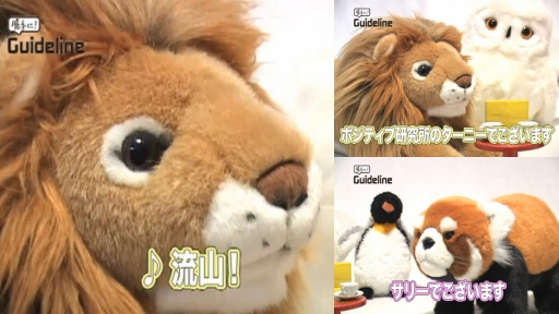 勝手にガイドライン(千葉県流山市).jpg