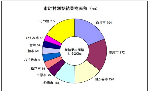 千葉県の梨の生産地ベスト10位.jpg