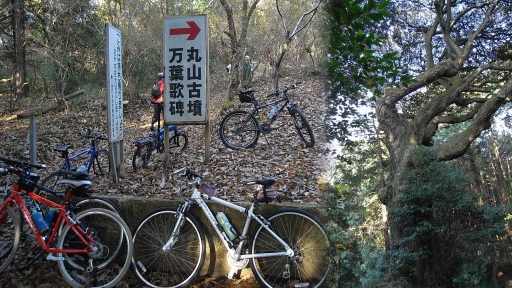 史跡丸山古墳