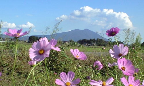 小貝川60km付近から見た筑波山01