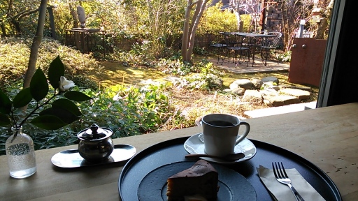 小鳥に出会う店