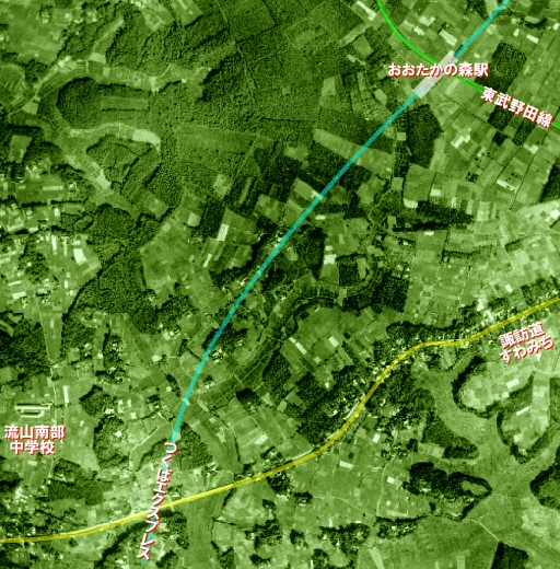 市野谷の森1955年(昭和30年).jpg