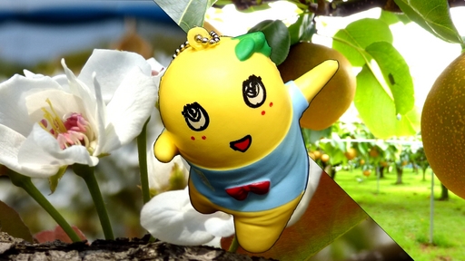 梨が実ったなっしー.jpg